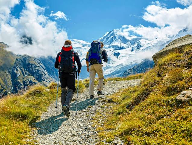 whatsapp image 2025 11 15